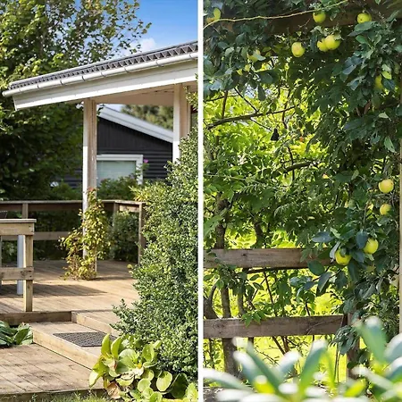 Fy117-bogense-vildrosevej-20