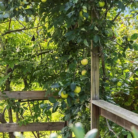 Fy117-bogense-vildrosevej-20 Сasa de vacaciones Bogense