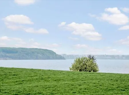 Fy117-bogense-vildrosevej-20 *