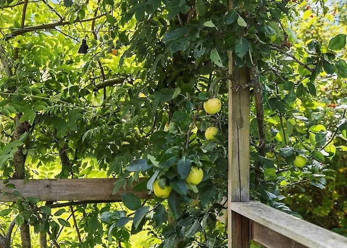 Fy117-bogense-vildrosevej-20 Ferienhaus Bogense